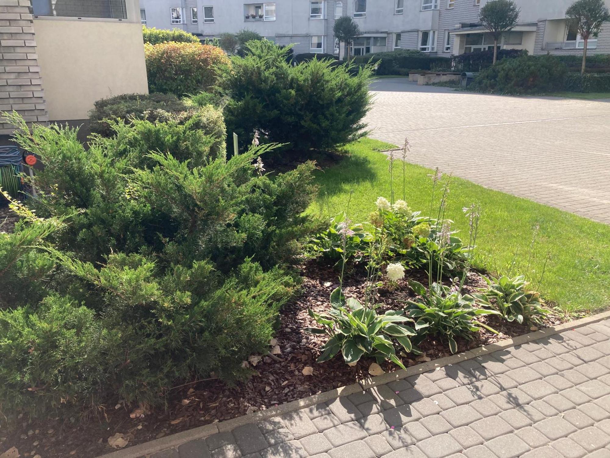 Przestronny Apartament Na Dolnej Varsóvia Exterior foto